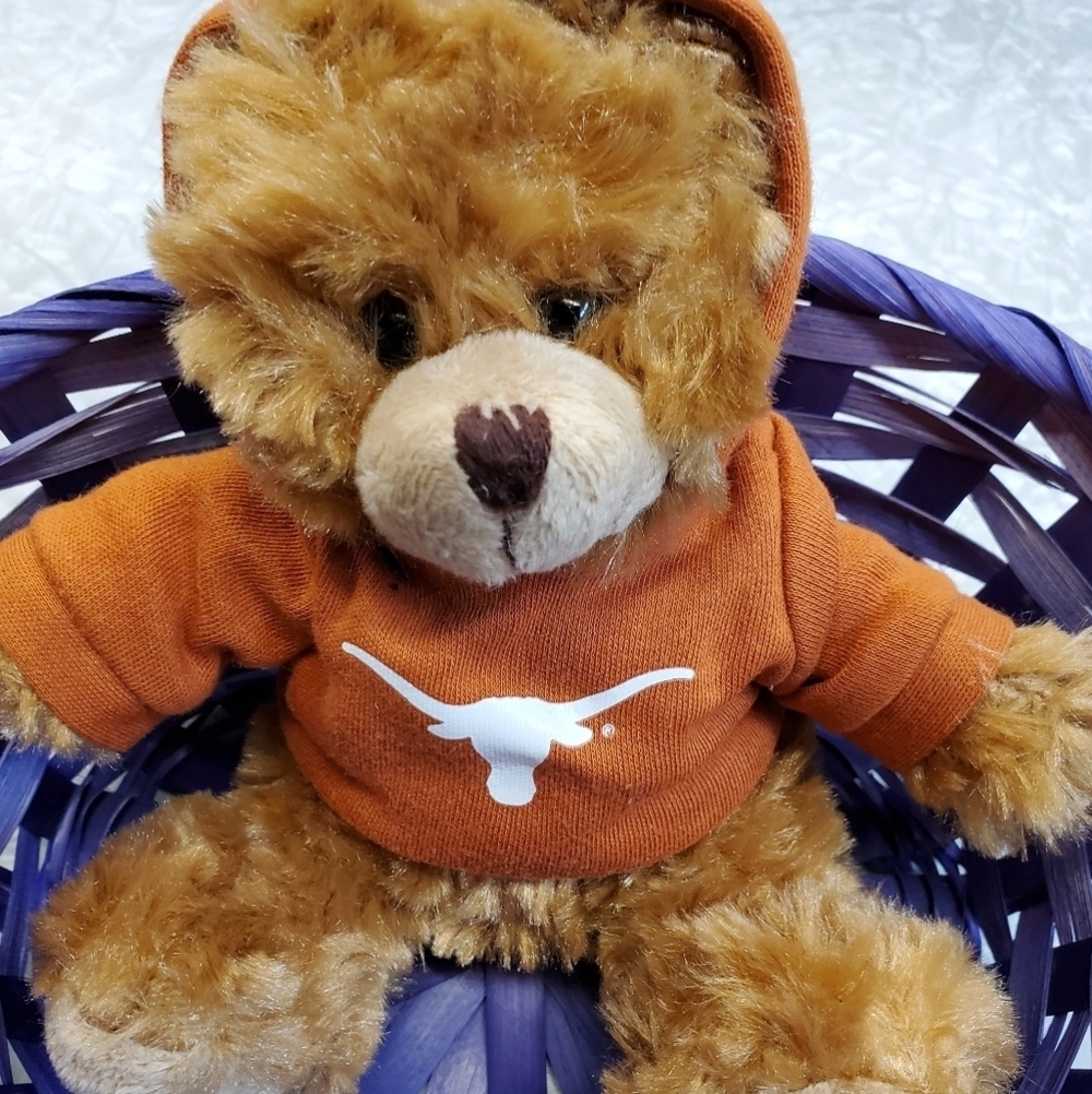 🧸🐮👕 Brown bear w/ rust colored bull sweatshirt